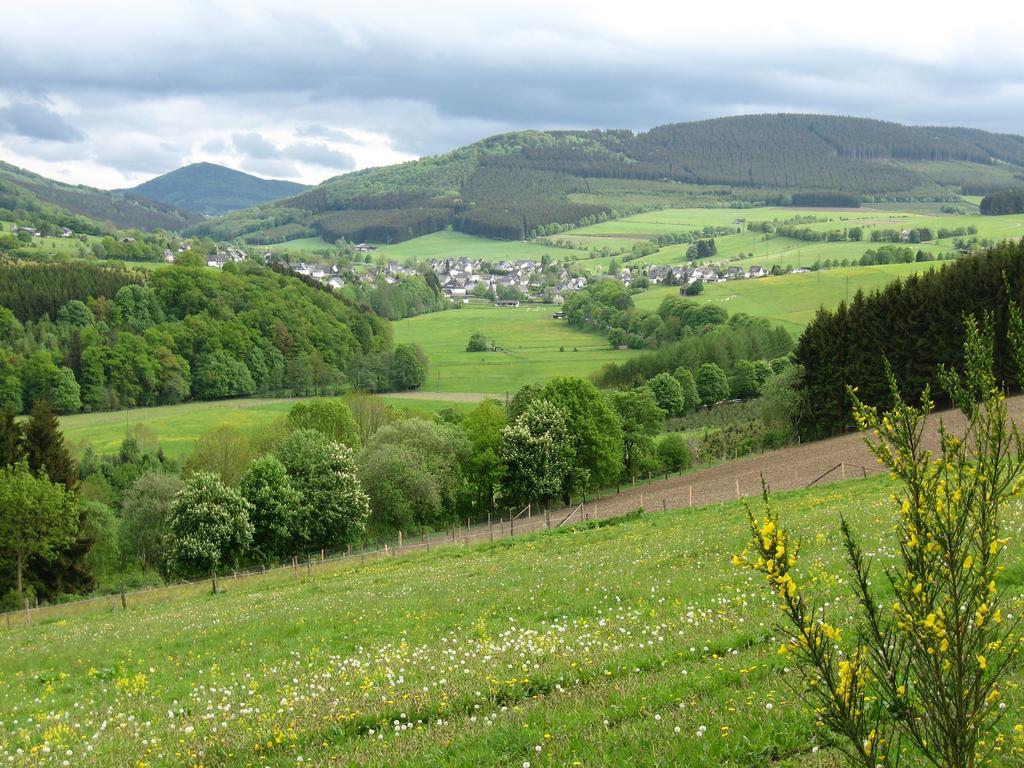 Ferienwohnung Moos-Hochsauerland Wiemeringhausen Værelse billede