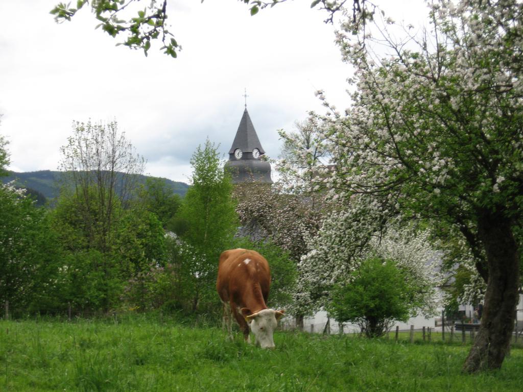 Ferienwohnung Moos-Hochsauerland Wiemeringhausen Værelse billede