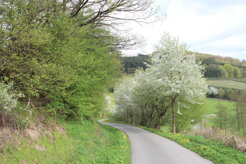 Ferienwohnung Moos-Hochsauerland Wiemeringhausen Værelse billede